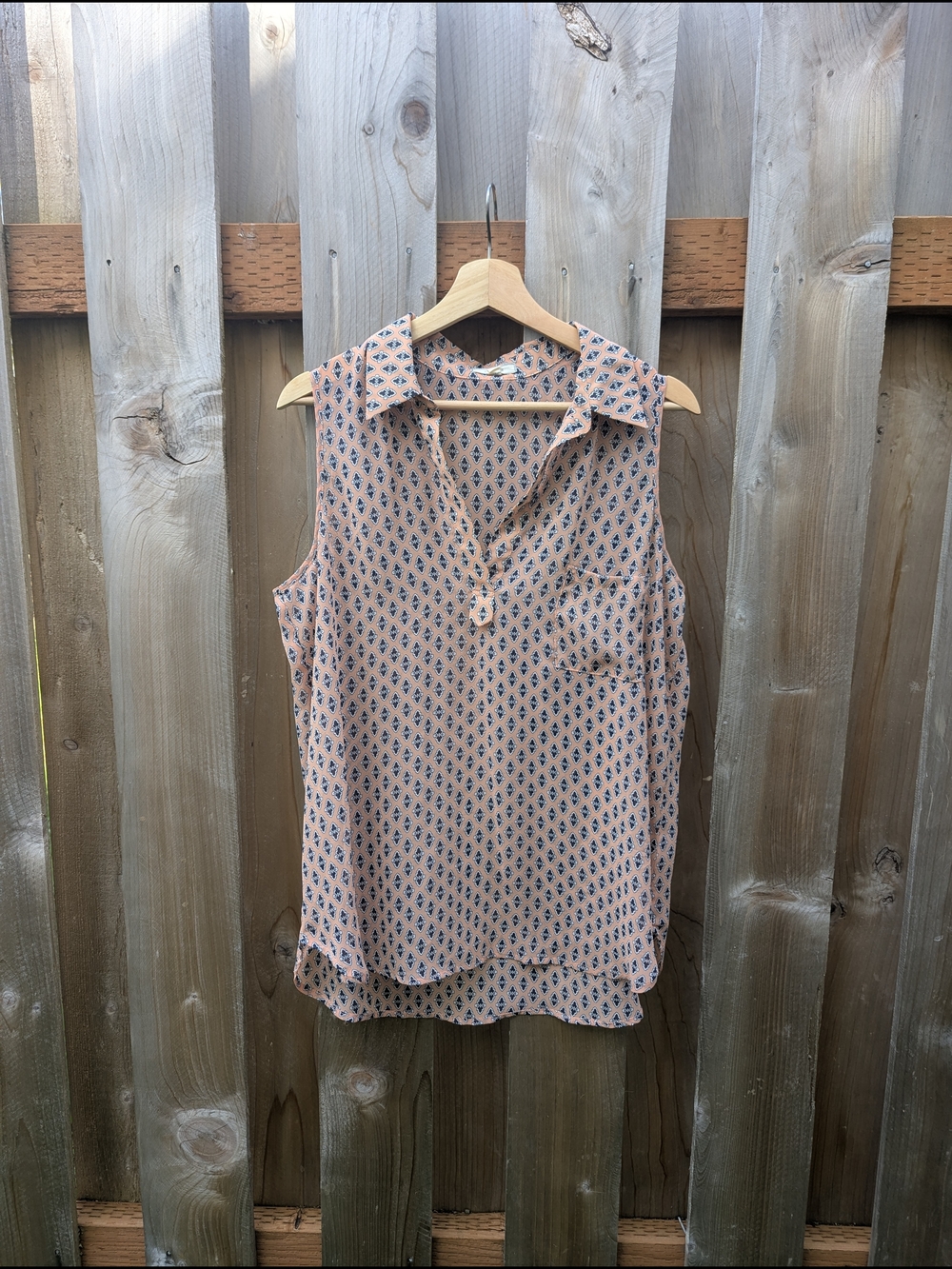 Sleeveless Sheer Collared Blouse